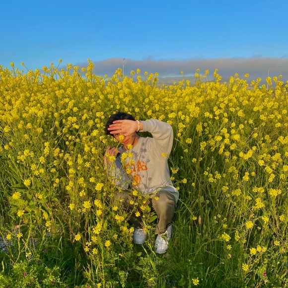 Meet your Posher, Daniel - Picture 1 of 1